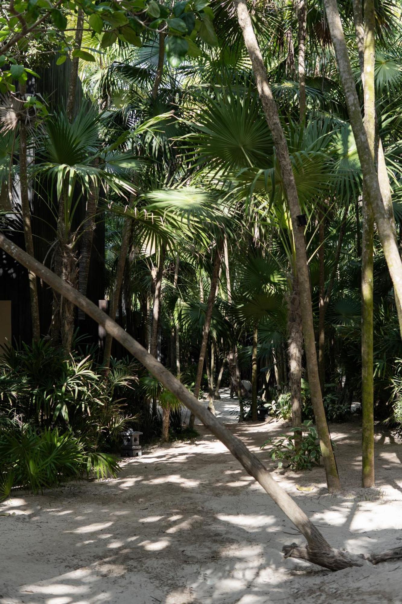Umi Tulum Hotel Bagian luar foto