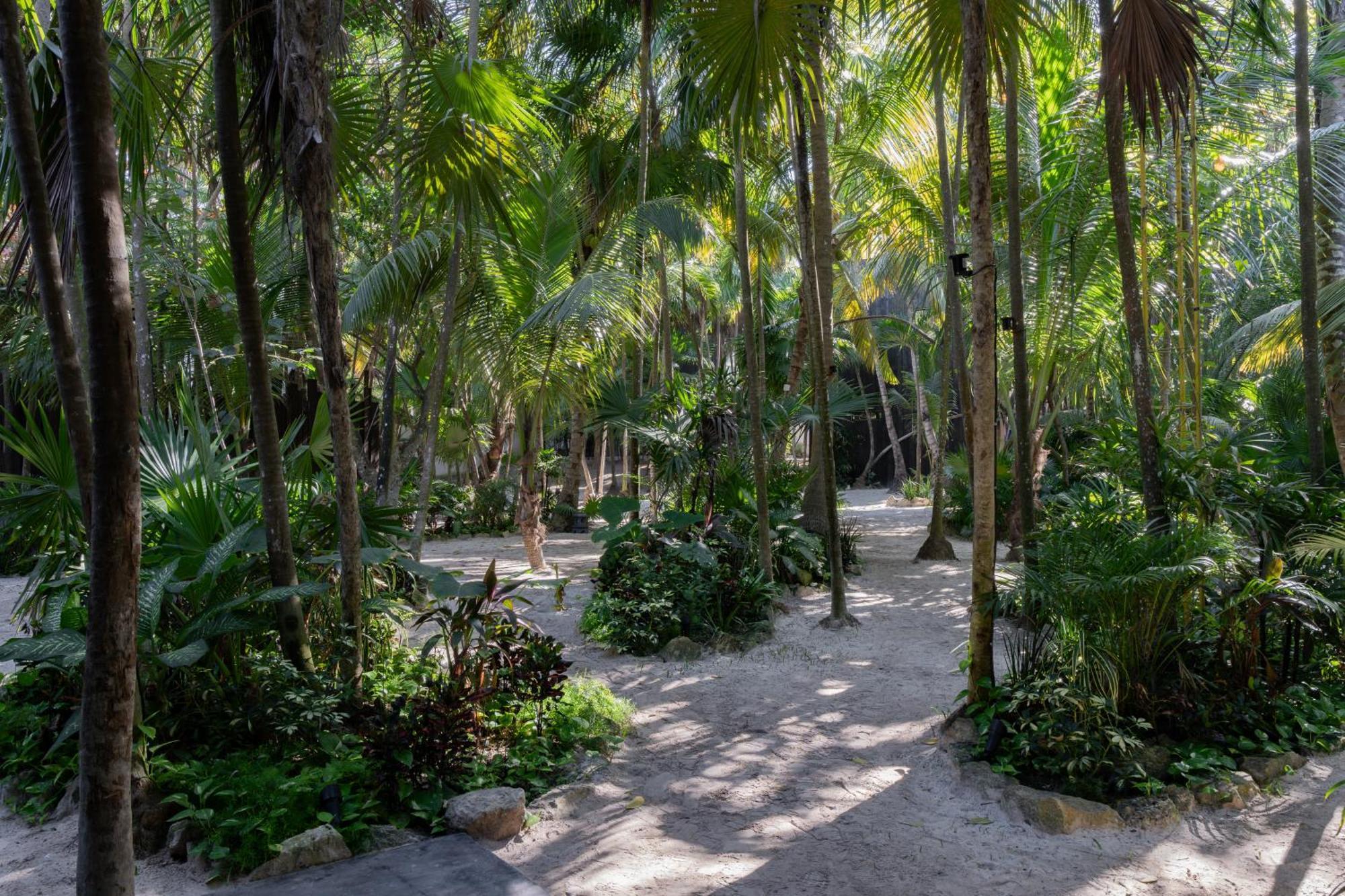 Umi Tulum Hotel Bagian luar foto